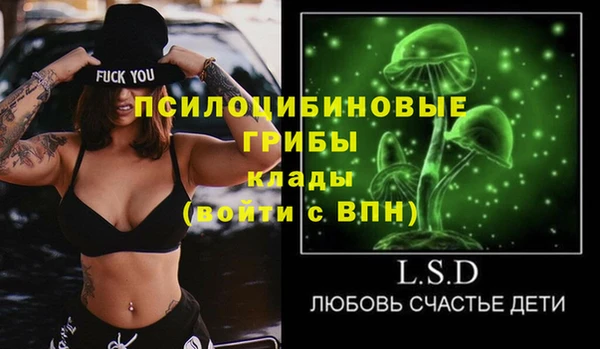 индика Алексеевка