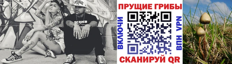 Псилоцибиновые грибы ЛСД Карачев